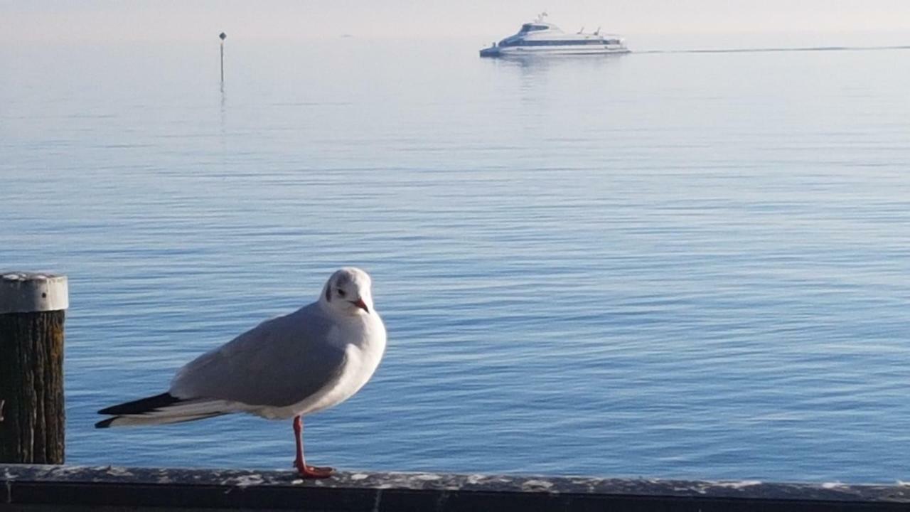 Ferienwohnung "Waldeck" Nahe Messe Und Bodensee Фрідріхсгафен Екстер'єр фото